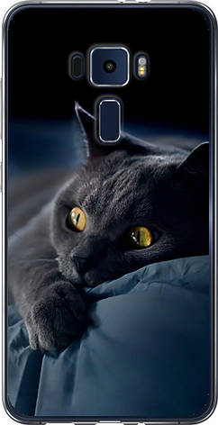 Чохол на Asus Zenfone 3 ZE552KL Димчастий кіт "825u-448-851", фото 1