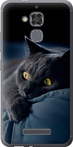 Чохол на Asus Zenfone 3 Max ZC520TL Димчастий кіт "825u-442-851", фото 1