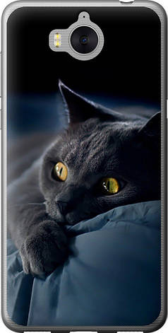Чохол на Huawei Y5 2017 Димчастий кіт "825u-992-851", фото 1