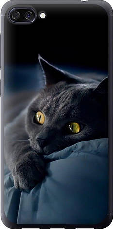 Чохол на Asus ZenFone 4 Max ZC520KL Димчастий кіт "825u-1242-851", фото 1