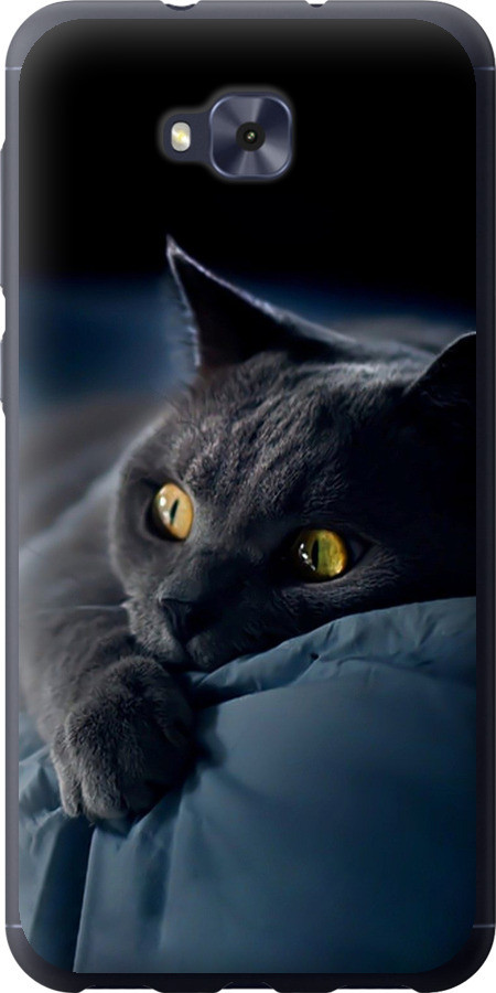 Чохол на Asus ZENFONE 4 SELFIE / ZD553KL Димчастий кіт "825u-1241-851"