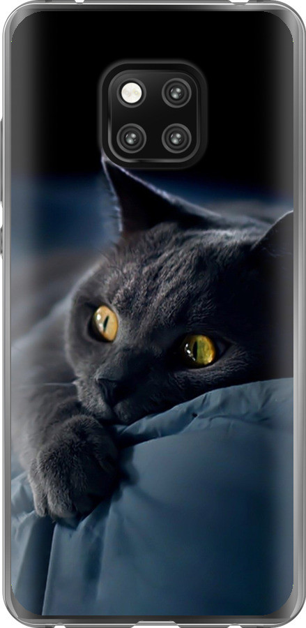 Чохол на Huawei Mate 20 Pro Димчастий кіт "825u-1567-851"