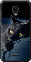 Чохол на Meizu C9 Димчастий кіт "825u-1627-851"