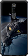 Чохол на Meizu Note 8 Димчастий кіт "825u-1610-851"
