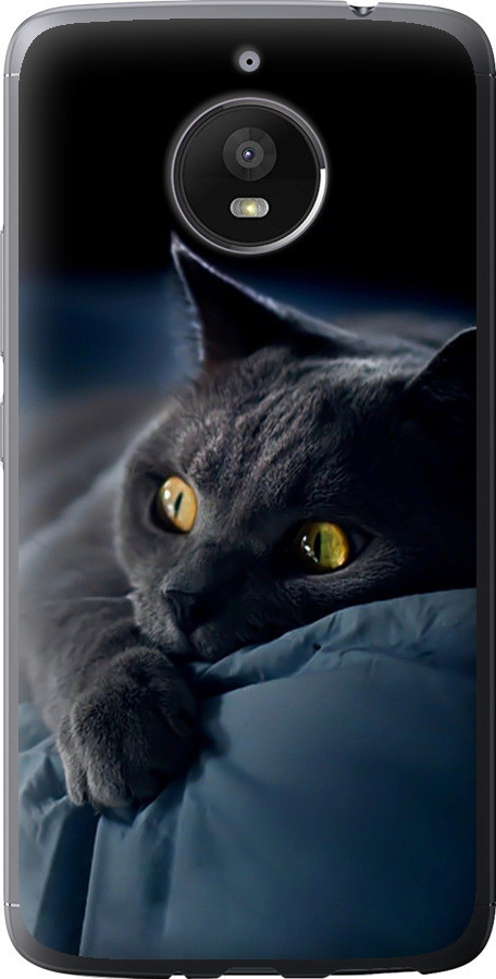 Чохол на Motorola Moto E4 Plus Димчастий кіт "825u-1000-851"