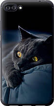 Чохол на Asus ZenFone 4 Max ZC554KL Димчастий кіт "825u-1035-851"