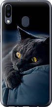 Чохол на Samsung Galaxy M20 Димчастий кіт "825u-1660-851"