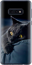 Чохол на Samsung Galaxy S10e Димчастий кіт "825u-1646-851"
