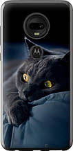 Чохол на Motorola Moto G7 Димчастий кіт "825u-1614-851"