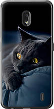 Чохол на Nokia 2.2 Димчастий кіт "825u-1706-851"