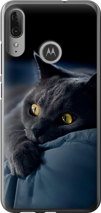 Чохол на Motorola Moto E6 Plus Димчастий кіт "825u-1780-851"