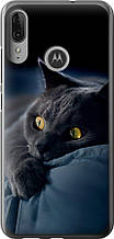 Чохол на Motorola Moto E6 Plus Димчастий кіт "825u-1780-851"