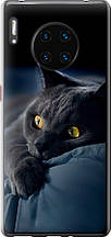 Чохол на Huawei Mate 30 Pro Димчастий кіт "825u-1796-851"