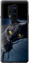 Чохол на OnePlus 8 Pro Димчастий кіт "825u-1896-851"