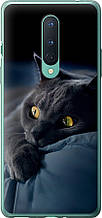 Чохол на OnePlus 8 Димчастий кіт "825u-1902-851"