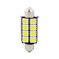 Go Автомобильные лампы для подсветки номерного знака DXZ JM-5050 41 mm/8 leds