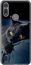 Чохол на Motorola E6s Димчастий кіт "825u-2001-851"