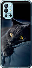 Чохли для OnePlus 9R