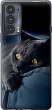 Чохол на Motorola Edge 20 Димчастий кіт "825u-2497-851"