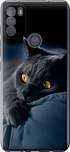 Чохол на Motorola G50 Димчастий кіт "825u-2354-851"