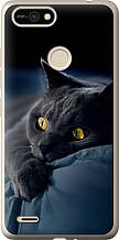 Чохол на Tecno Pop 2F B1F Димчастий кіт "825u-2391-851"