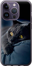 Чохол на iPhone 14 Pro Димчастий кіт "825u-2646-851"