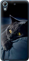 Чехол на HTC Desire 628 Dual Sim Дымчатый кот "825u-949-851"
