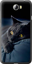 Чохол на Huawei Y5 II Димчастий кіт "825u-496-851"