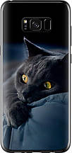 Чохол на Samsung Galaxy S8 Plus Димчастий кіт "825u-817-851"