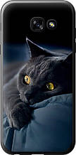 Чохол на Samsung Galaxy A5 (2017) Димчастий кіт "825u-444-851"
