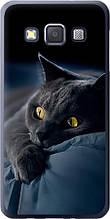Чохол на Samsung Galaxy A3 A300H Димчастий кіт "825u-72-851"