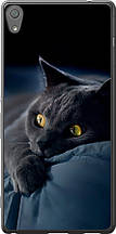 Чохол на Sony Xperia XA Ultra Dual F3212 Димчастий кіт "825u-391-851"