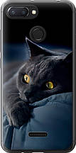 Чохол на Xiaomi Redmi 6 Димчастий кіт "825u-1521-851"