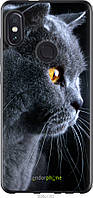 Силиконовый чехол Endorphone Xiaomi Redmi Note 5 Pro Красивый кот (3038u-1353-26985) GM, код: 7501089