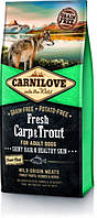 Carnilove For Adult Dogs Shiny Hair & Healthy Skin Fresh Carp & Trout 12 кг сухой корм для собак (129633-21)