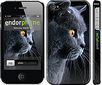 Пластиковый чехол Endorphone на iPhone 4s Красивый кот (3038c-12-26985) UK, код: 1390838