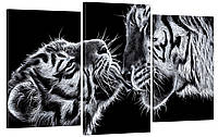Модульна картина Декор Карпати у вітальню для інтер'єру Чорно-білі тигри 53x100 з SX, код: 7008826