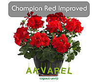 Champion Red Improved