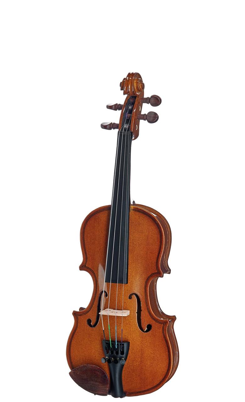 Скрипка STENTOR 1400/J STUDENT I VIOLIN OUTFIT 1/32, фото 1