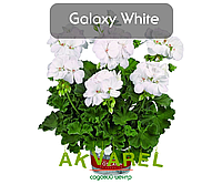 Galaxy White