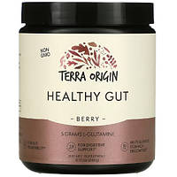 Добавка для здоровья кишечника Terra Origin Healthy Gut 243 g (Berry)