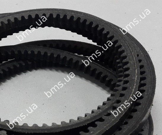 Ремінь клиновий L1437 / 1450 приводу бочки Putzmeister М740/1/2 (1999 р - 2008 р) пас зубчатий