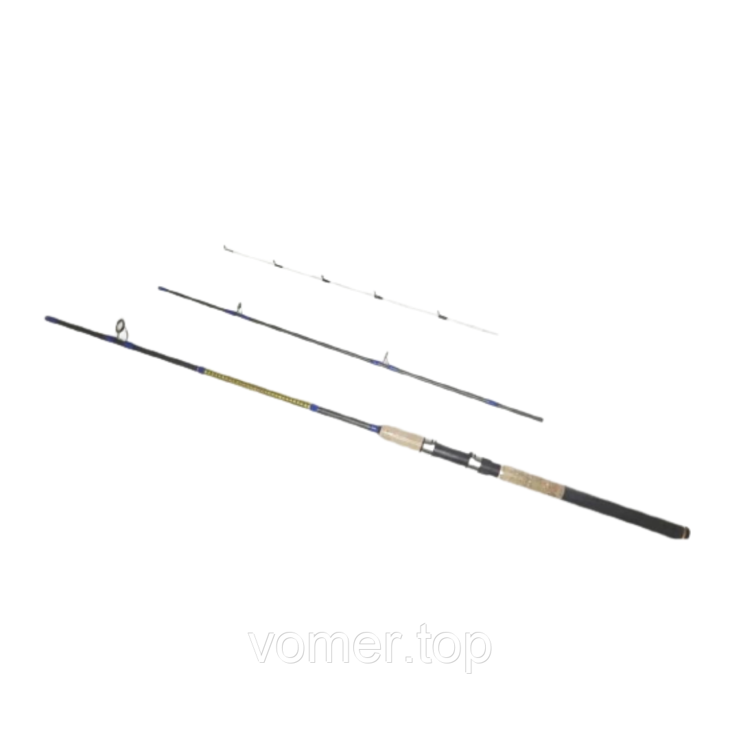 Спінінг штекерний BoyaBY AVERS 256 2,70м 10-30 грам