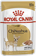 Корм Royal Canin Chihuahua Adult влажный для взрослых собак породы чихуахуа 85 гр