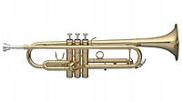 Stagg WS-TR115 - Bb труба з футляром