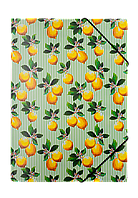 Папка на гумці, A4, LEMONS, ARABESKI, салатова