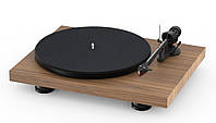 PRO-JECT DEBUT CARBON EVO 2M-RED WALNUT