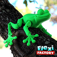 Жаба Іграшка