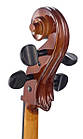 Віолончель STENTOR 1108/E STUDENT II CELLO OUTFIT 1/2, фото 9
