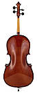 Віолончель STENTOR 1108/E STUDENT II CELLO OUTFIT 1/2, фото 3